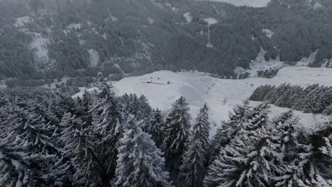 FPV Drone Flying Over White Winter Trees Overcast, 4K Stock Footage 323463822