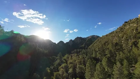 FPV Drone Flying Through Canyon Covered in Trees Stock Footage 316173490