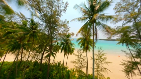 FPV drone flying through coconut palm trees into beautiful tropical beach. Stock Footage 245204996