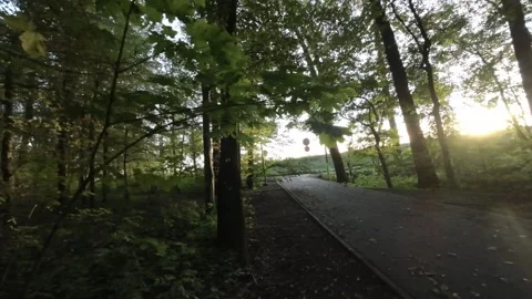 FPV Drone Flying Through a Dense Autumn Forest Stock Footage 289043653