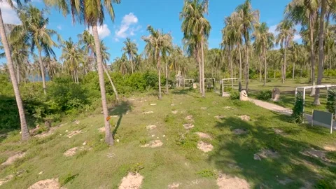 Fpv drone flying through a palm grove Video stock 255359964