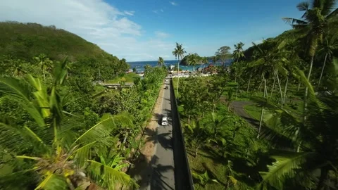 Fpv drone flying through palm trees on Nusa Penida, Bali, Indonesia chasing car  스톡 동영상 259779139