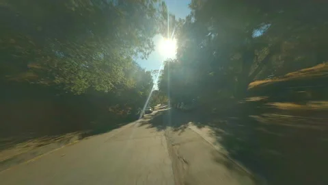 FPV drone flying through the trees 库存影片 159513667