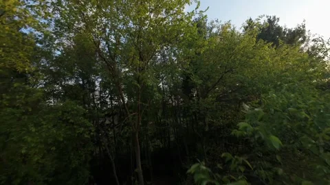 FPV drone flying through the treetops in Jackson MI 動画素材 313153408
