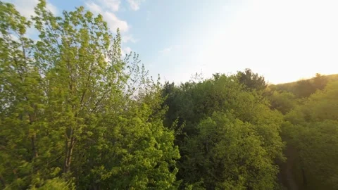 FPV drone flying through the treetops in Jackson MI 動画素材 313153410