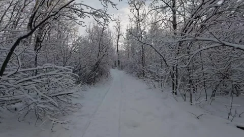 FPV Drone Flying Through A Winter Forest Stock Footage 330901501