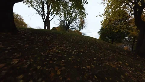 Fpv drone flying toward golden sunlight above rooftops original file edition Stock Footage 320264930