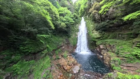 FPV Drone Flying Toward a Remote Waterfall in Early Summer Morning, Green Forest Video stock 336251574