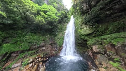 FPV Drone Flying Toward a Waterfall in Lush Green Mountain Forest in Morning Video stock 335761028