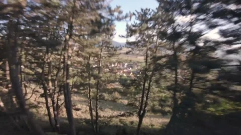 FPV drone flyinig fast through trees Stock Footage 169280509