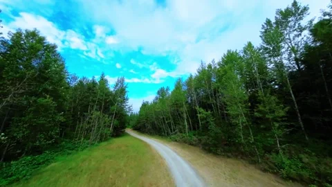 FPV Drone Following Road Before Going Over Trees (Color Graded) Stock Footage 246302216