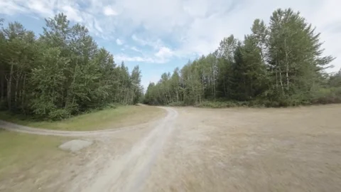FPV Drone Following Road Before Going Over Trees (Desaturated) Stock Footage 246348797
