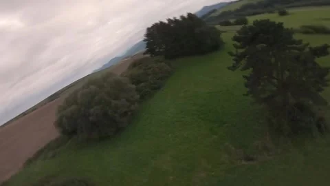 FPV drone freestyle around trees on a green meadow Stock Footage 169280502