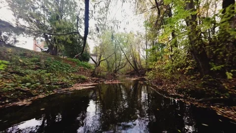 FPV Drone Gliding Low Over Autumn Forest Creek | Moody Nature Aerial 4K Stock Footage 319419272