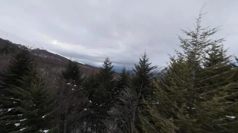 FPV Drone Gliding Over Green Pine Forest in Snowy Mountains Stock Footage 328367779