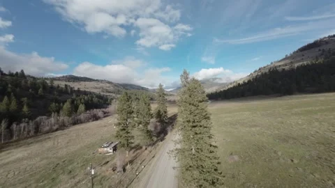 FPV drone high speed flying above the trees, British Columbia, Canada Video stock 263613791