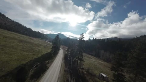 FPV drone high speed flying above the trees, British Columbia, Canada Stock Footage 263613802