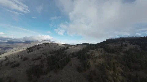 FPV drone high speed flying above the trees, British Columbia, Canada Video stock 263613810