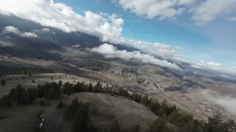 FPV drone high speed flying above the trees, British Columbia, Canada Video stock 263613820