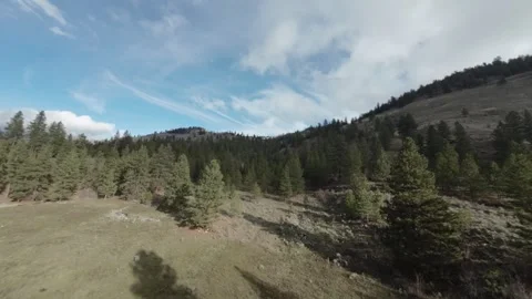 FPV drone high speed flying above the trees, British Columbia, Canada Video stock 263613838
