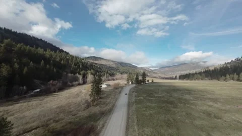 FPV drone high speed flying above the trees, British Columbia, Canada Video stock 263613865