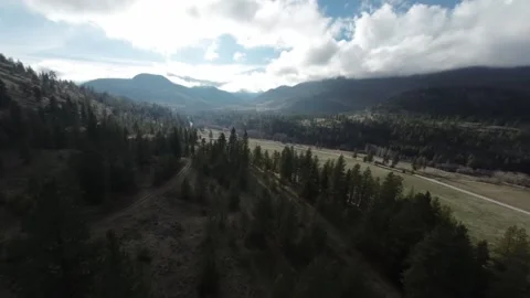 FPV drone high speed flying above the trees, British Columbia, Canada Video stock 263613873
