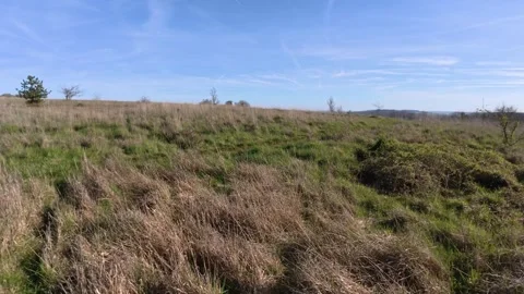 FPV Drone Low Flight Over Open Plain Grass Ground Level 4K Stock Footage 332277301