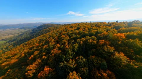 FPV drone of magnificent mystical forest on fall season. Aerial flight above Stock Footage 182064743