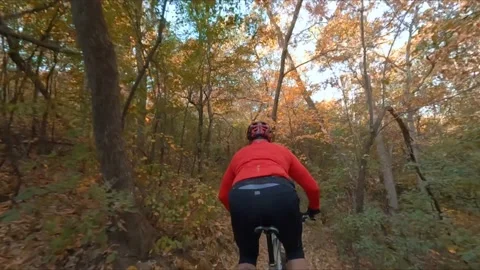 FPV drone, man mountain biking on a dirt road in the forest during autumn Stock Footage 229693101