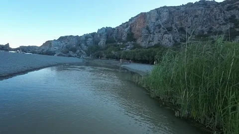 FPV DRONE OVER RIVER AND PALM FOREST AND SEASIDE Stock Footage 280049058