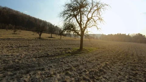 FPV drone quickly and maneuverable flies between trees in the countryside and Stock Footage 127516585