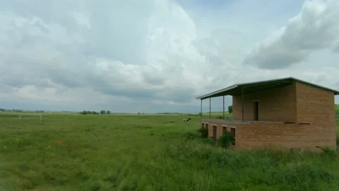 FPV drone quickly and maneuverably flies past an unfinished house and cows Stock Footage 133718523