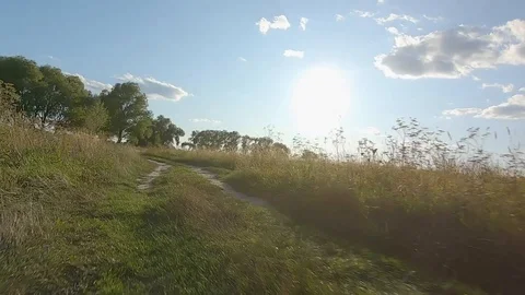 FPV Drone racing view. Flight dynamic over dirt road and through the trees Video stock 116961763
