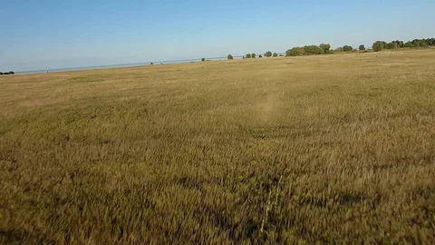 FPV Drone racing view. Fly over field Vidéo 116961017