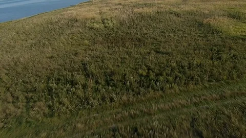 FPV Drone racing view. Fly over coastline with field and dirt road Video stock 116961399