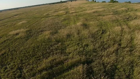 FPV Drone racing view. Fly over coastline with field and dirt road Stock Footage 116962017