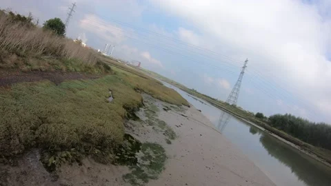 FPV drone riverside grassland Stock Footage 169108593