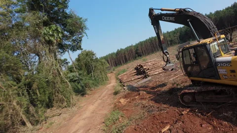 FPV drone shot of deforestation machine at work. Stock Footage 303946379
