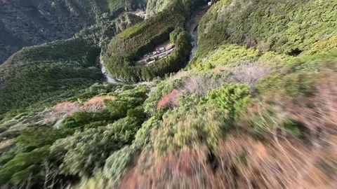FPV Drone Shot of the Lone Cherry Blossom Tree in Kozagawa, Wakayama, Japan Video stock 332294035