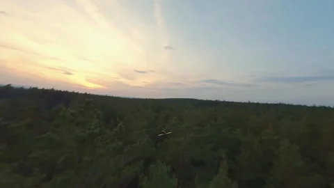 FPV Drone Sunset Chase – Cinematic Forest Flyover with Drone in Frame Stock Footage 313745666