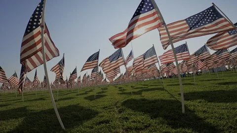 FPV Drone Sweeping Left Turn Through American Flag Memorial - Patriotic Field Stock Footage 332027227