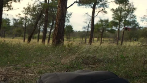 FPV Drone Takes Off in Forest Stock Footage 252574827