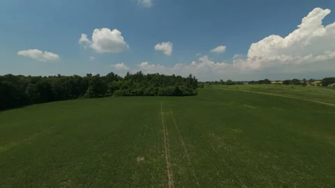 FPV drone tracking shot performing two backflips over a soybean field Stock Footage 341812391