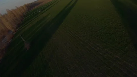 FPV drone view above young wheat at sunset, fast move Video stock 127760528