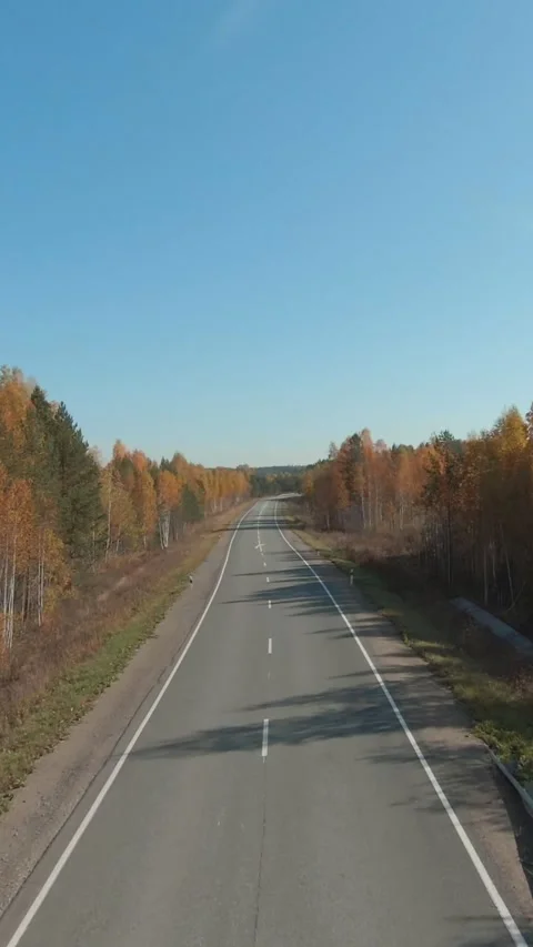 FPV drone view of empty straight highway through golden autumn forest at dawn Stock Footage 346559079