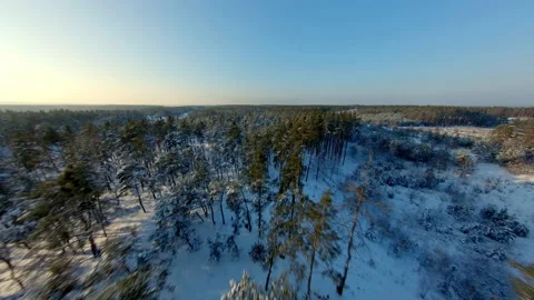 FPV drone view. Fast flight over winter forest at sunset Stock Footage 147995745