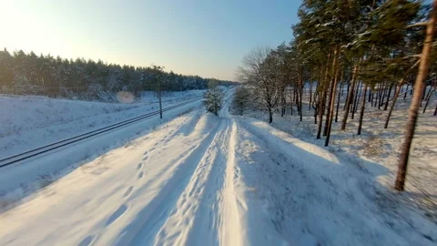 FPV drone view. Fast flight in the winter forest at sunset Vídeos de archivo 148045916
