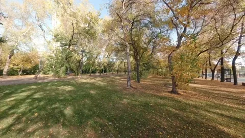 FPV drone view of A guy and a girl swing on a swing in the autumn park Stock Footage 216926843