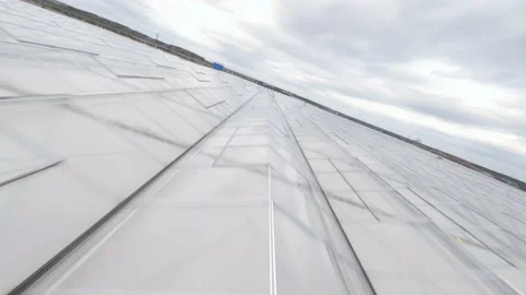 FPV drone view of huge outdoor Industrial Greenhouse Stock Footage 220697959
