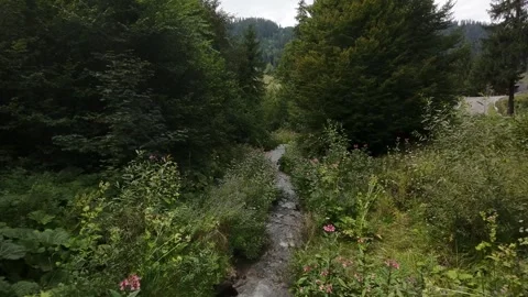FPV Drone View of Mountain Waterfall and Stream Stockbeeldmateriaal 316161835